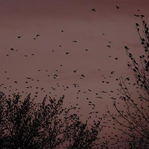 女性生的🍌❌❌❌进去里
